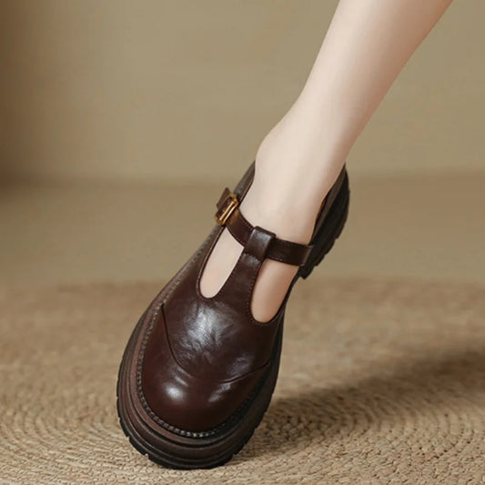Comfortable Mary Jane Shoes for Women with Buckle Strap Round Toe Chunky Sole